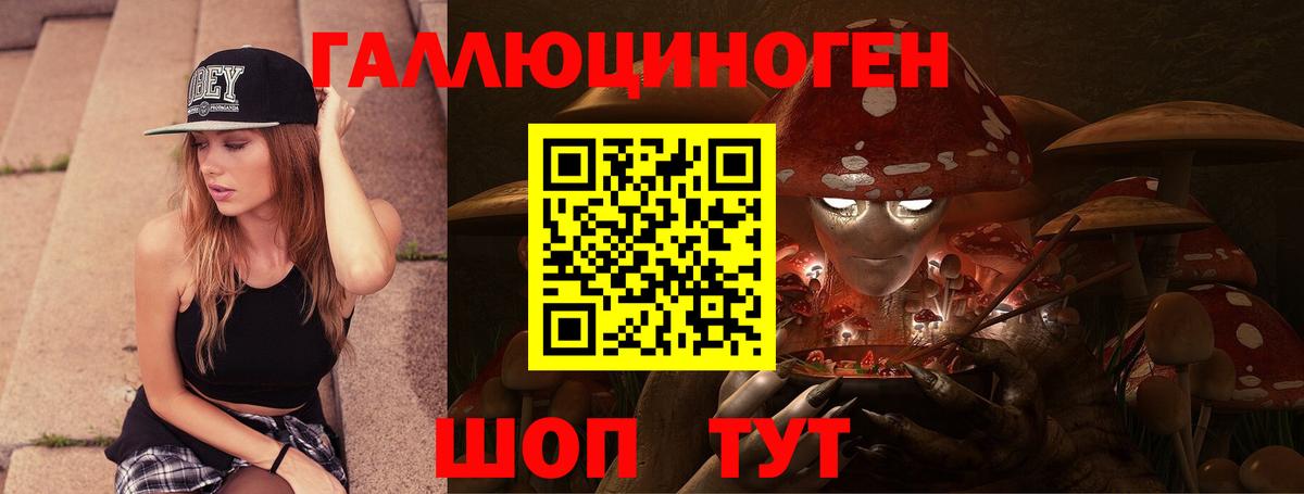 Среднеуральск  Псилоцибиновые грибы Psilocybe  Вход с VPN 